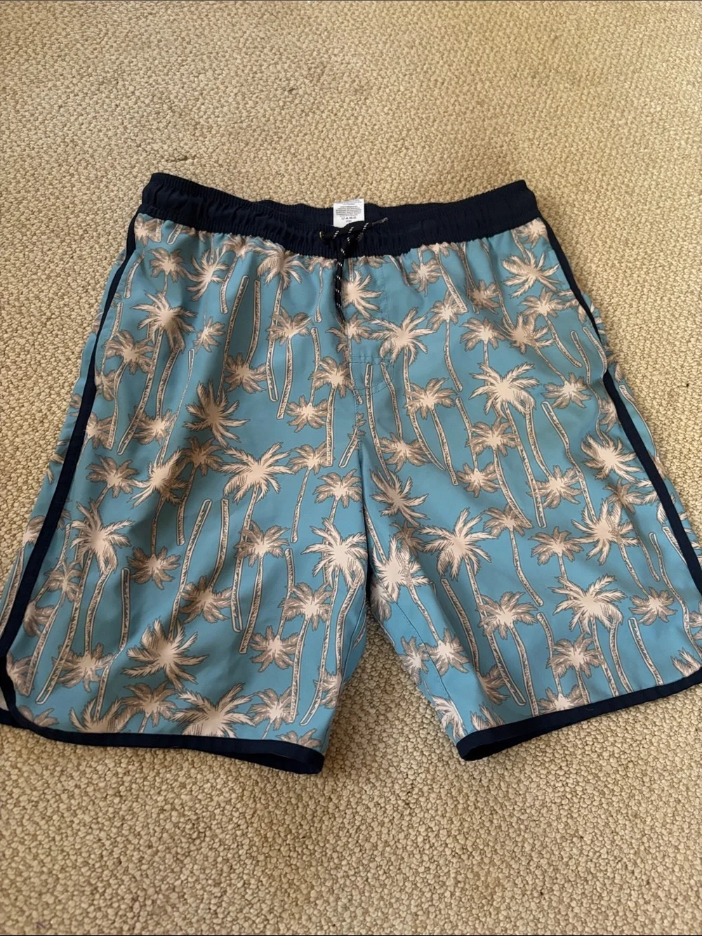 Men's Light Blue Palm-Print Swim Shorts